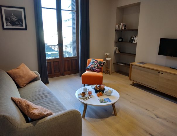 séjour appartement 11